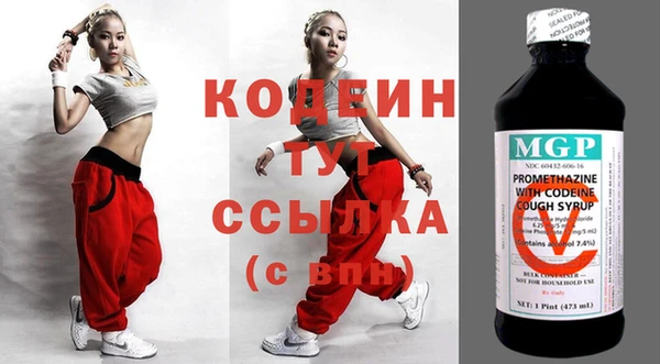 дурь Алексин