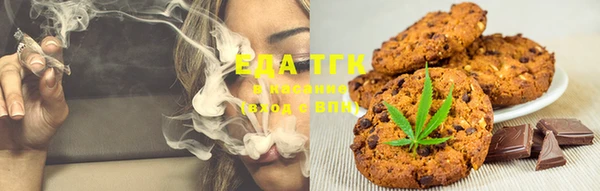 ECSTASY Алзамай