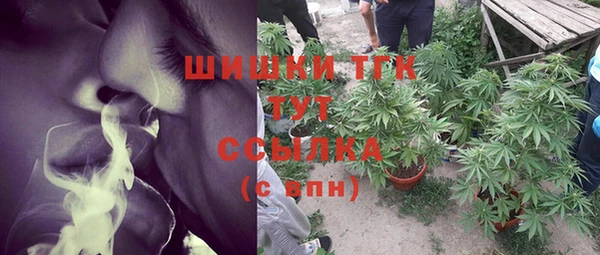 дурь Алексин