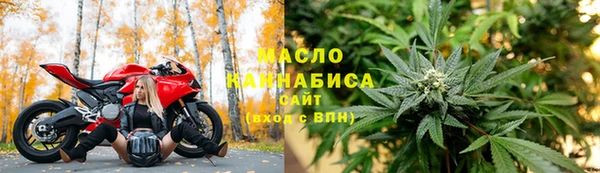 ECSTASY Алзамай