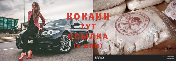 индика Протвино