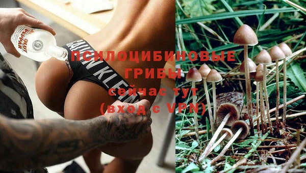 дурь Алексин
